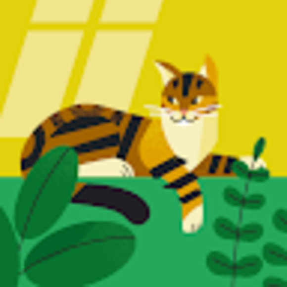 Meet your Posher, Amelia - Picture 1 of 1